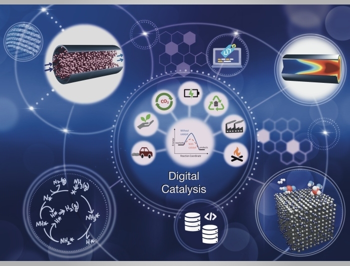 Concept paper on digitalization for catalytic reaction kinetics