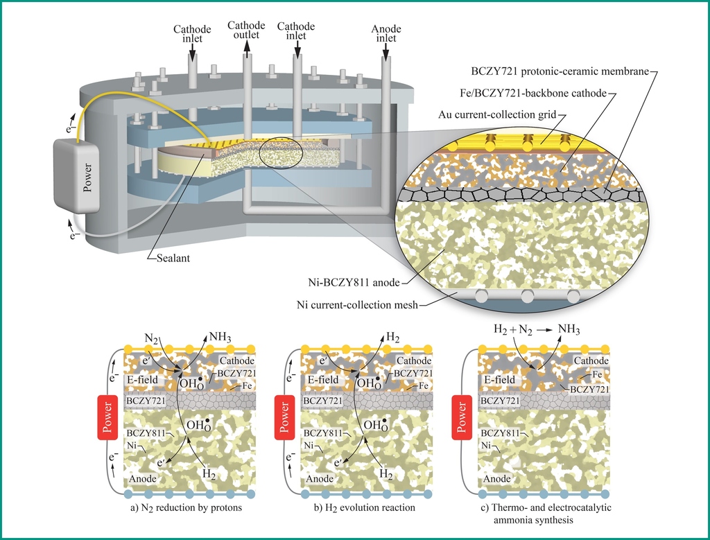 Electrochemical Ammonia Synthesis