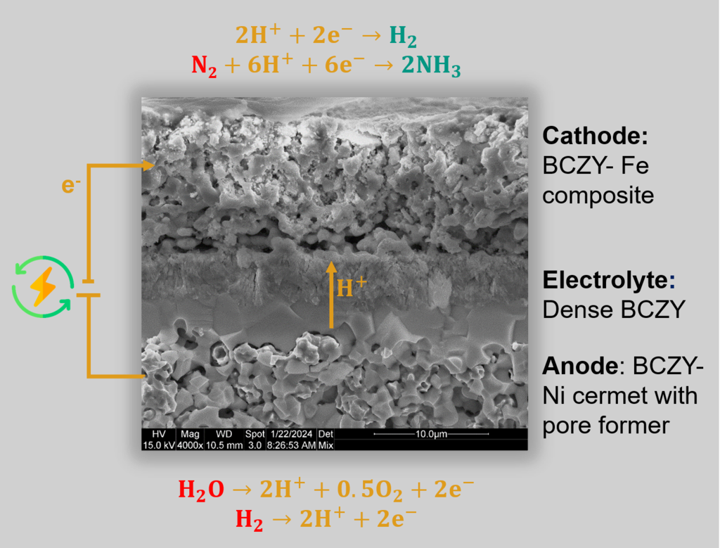 Electrochemically supported ammonia synthesis