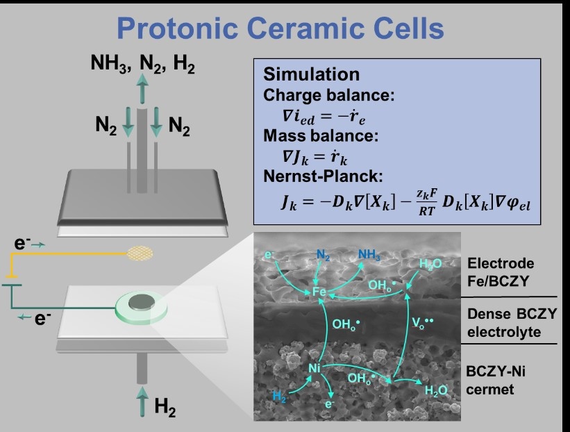 Protonic ceramic cells